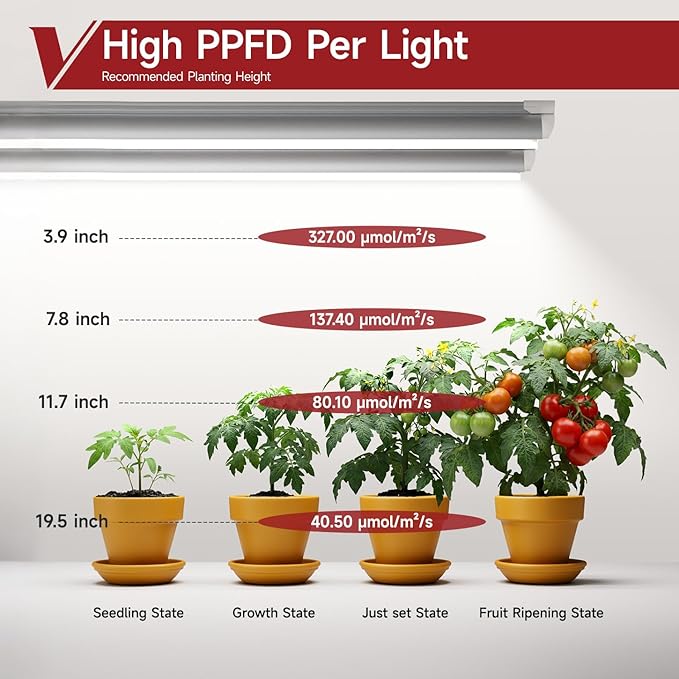 2 Pack LED Grow Light 2FT, 5000K Full Spectrum, 48W(2 x 24W), Linkable Growing Lamp Fixture, T8 Grow Lights for Indoor Plants, Seed Starting, Vegetables