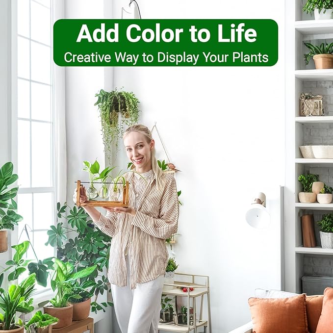 Propagation Station, Plants Terrarium, Plants Lover Gifts for Women,Plant Cutting Holder Home décor,Gifts for Women,House Warming New Home-3 Bulbs