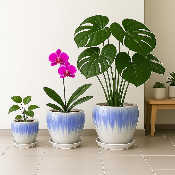 Deep Dream 6 Inch Plant Pots- Ceramic Planter Pot with Drainage Hole and Saucer, Round Flower Pot for Indoor Outdoor Succulent, Snake Plants and Cactus, White&Blue
