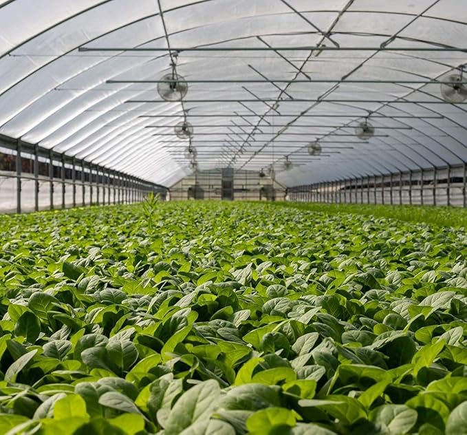 Garden Netting Pest Barrier: 10'x100' Fine Bug Netting for Garden Protection Row Cover Raised Bed Screen Mesh Greenhouse Mosquito Net, Protecting Tree Plants Vegetable Flowers Fruits