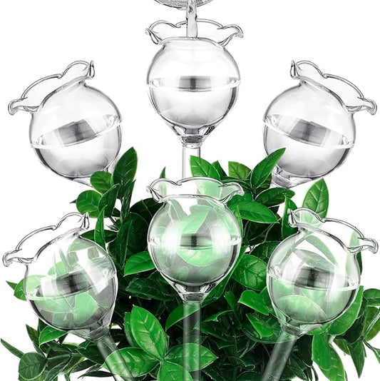 Yungyan 6 Pcs Self Watering Plant Globes Glass Cactus Insert Watering Devices Automatic Plant Watering Bulbs Water Globes for Indoor Outdoor Plants(Clear Tulip,5.31 Inch)