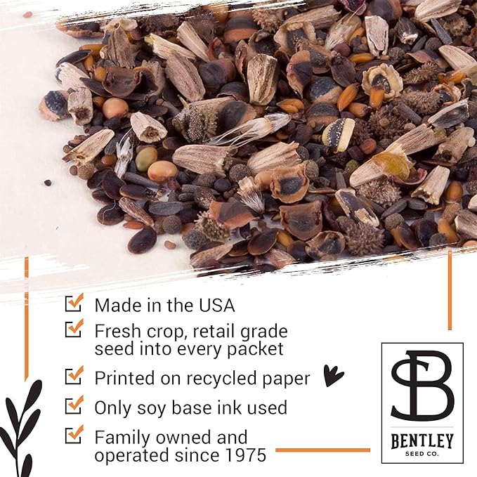 Bentley Wildflower Pollinator Mix, 25 Non-GMO Packets for Garden Planting, Non-Coated Flower Seeds to Grow Plants and Help Bees, Beautiful Gift