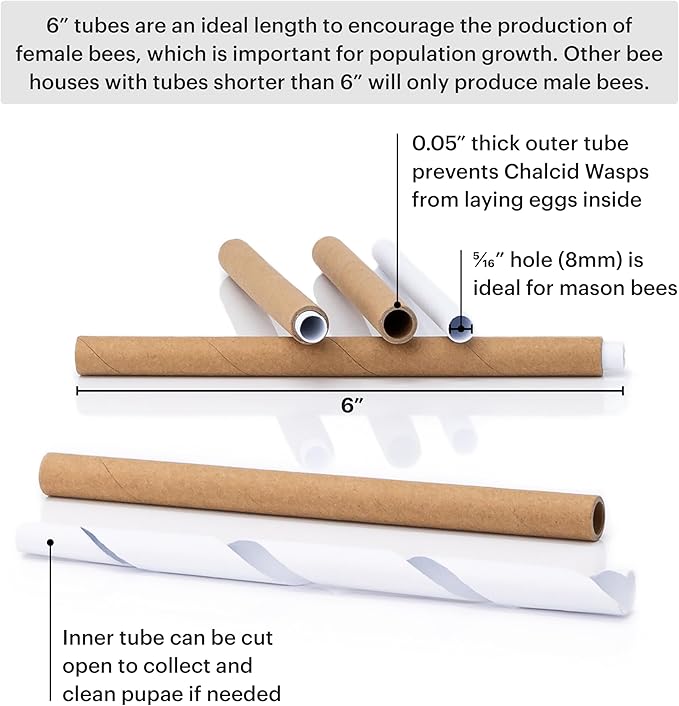 WHITEHORSE Premium Cedar Bee House - 6” Long Replaceable Tubes - Perfect for Mason Beekeeping - an Insect Hotel Built to Last - Support Bees While Pollinating Your Garden (Paper Tubes Included)