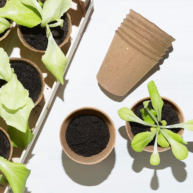 3T GROUP 100 Pack 3.15 Inch Disposable Mini Pots for Plant,Small Compostable Planting Pots,Biodegradable Flower Pots for Vegetables,Fruit with 100 Labels,Tool (100pcs)