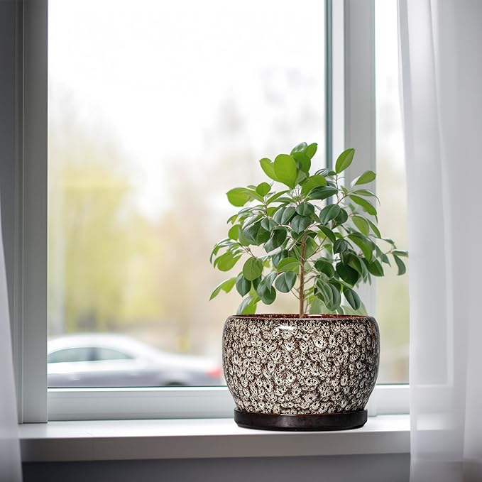 SQOWL Ceramic Planter - 8 inch Plant Pot Indoor with Drainage Hole and Plant Saucer, Round Ceramic Flower Pots Outdoor, Decorative Modern Planter, Office Kitchen Decor, Gifts for Women Men, White