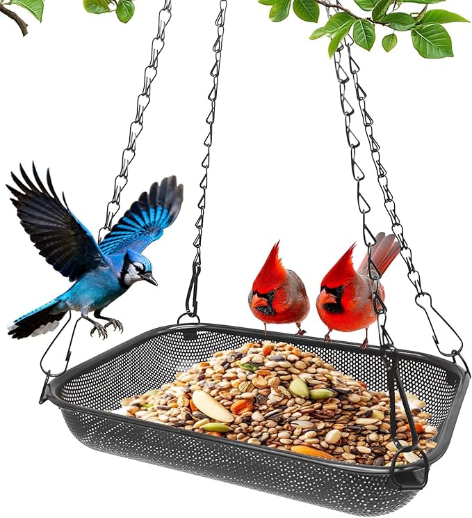 Platform Hanging Bird Feeder for Outdoors – Metal Mesh Seed Tray to Attract Wild Birds, Rectangle 12 x 8 in, Black