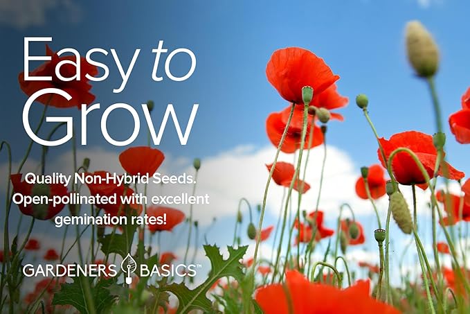 Gardeners Basics Poppy Seeds for Planting Outdoors Flower Seeds (Variety Pack of 4) Poppies Iceland, California, California Mikado and Red Corn Varieties for Bees, Pollinators Wildflower Seed