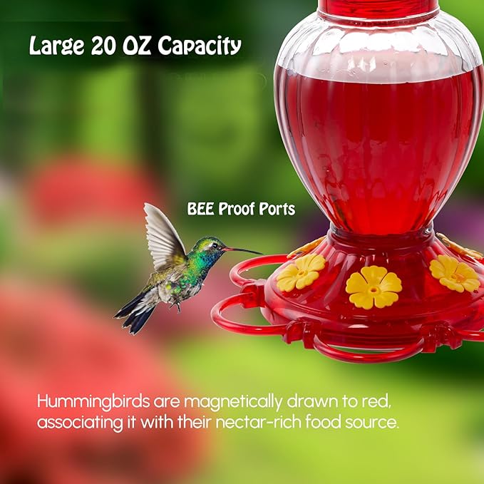 Backyard Expressions Hummingbird Feeder Set of 2 – Large 20 Oz Plastic Feeders for Outdoors with 6 Flower Ports, Built-in Ant Moat & Bee Guards, Wide Mouth Easy Fill, 2-Part Base for Fast Cleaning