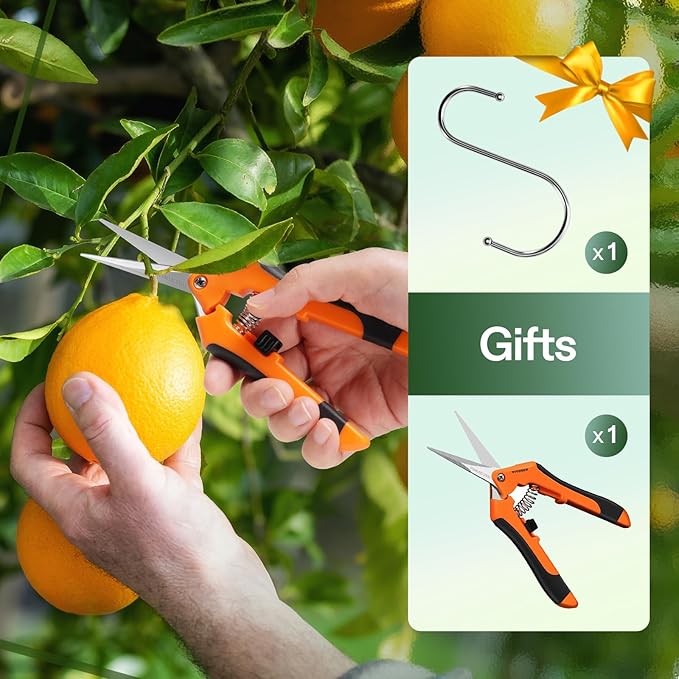 VIVOSUN 4-Pack 4-Layer Mesh Drying Rack Hanging Design with Green Zippers for Dehydrating, Indoor and Outdoor (Pruning Shears Included)
