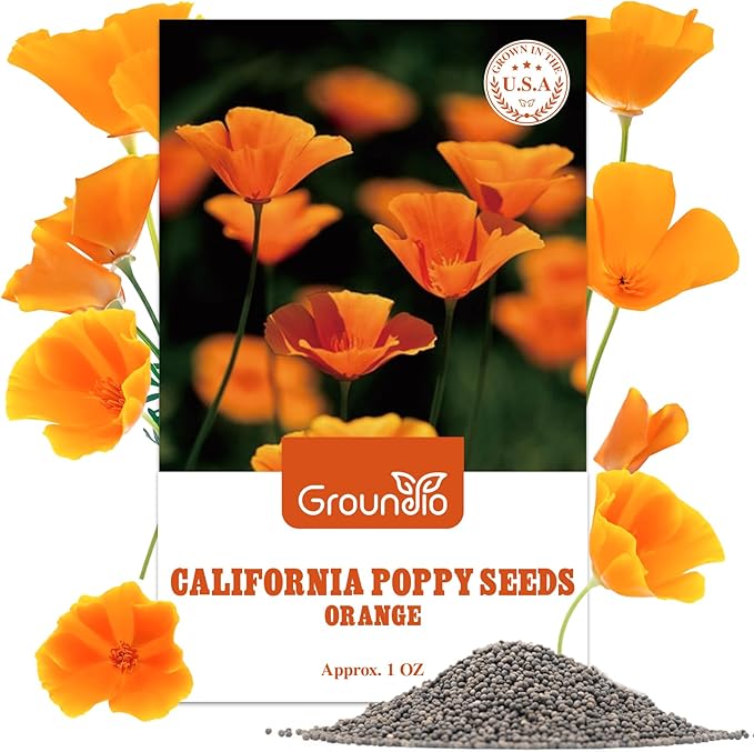 California Poppy Seeds, 1 Ounce Over 20000+ Seeds, Non-GMO | Heirloom | Sourced from USA- Eschscholzia Californica, USDA Zone 5-10