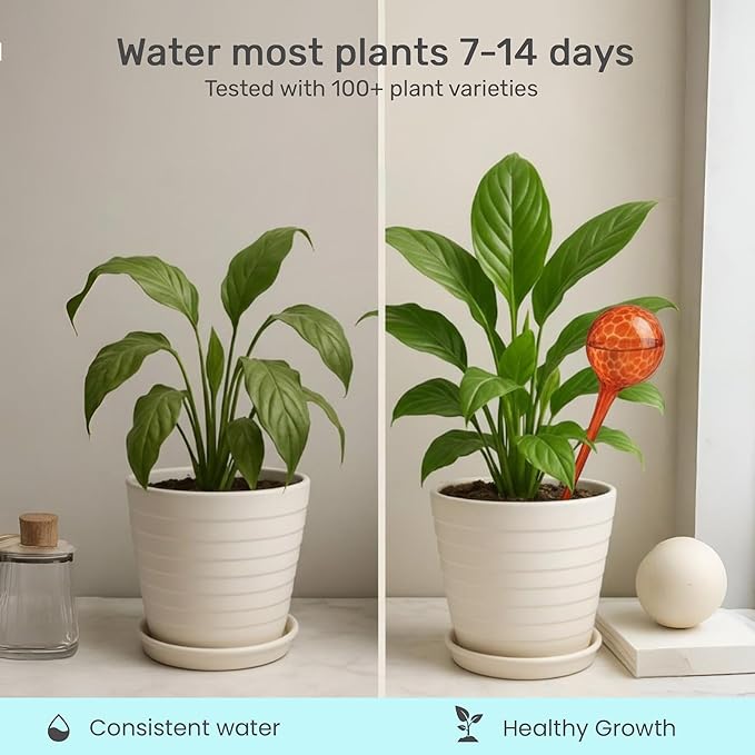 Automatic Plant Watering Globes Self Watering Planter Inserts 1 Pack | Hands Free Multicolor Glass Bulb | Planter Spikes to Support Indoor & Outdoor Plant Health (100ml)