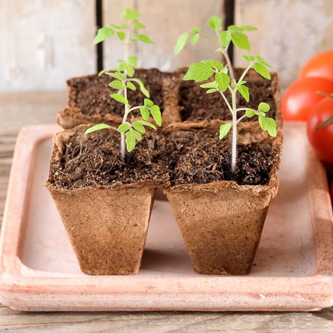 15 Packs Seed Starter Tray,180Cells Peat Pots,Biodegradable Pots for Seedlings,Organic Pot Plant Starter Trays Kit for Vegetable & Flower Seeding with 15 Plant Labels,2 Garden Tools