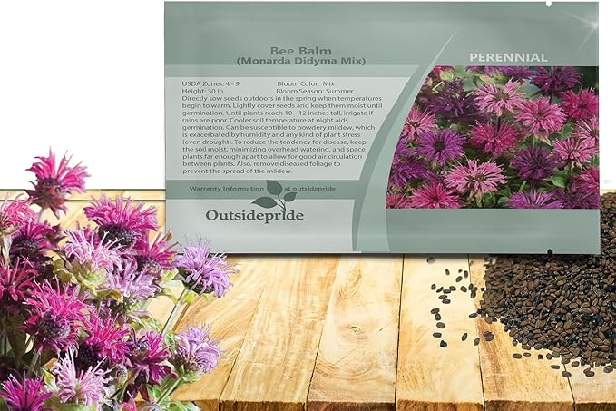 Outsidepride Bee Balm Mix Seeds - 500 Pcs Perennial, Easy to Grow & Pollinator Friendly Monarda Didyma Flower Seeds for Planting Mint Scented Leaves & Edible Blooms, Ideal for Teas & Potpourri