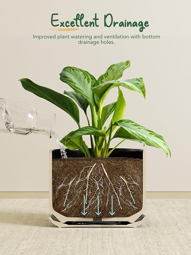 LE TAUCI Ceramic Pots for Plants, Set of 2, 10 + 12 Inch Plant Pot with Drainage Hole and Saucer, Durable & Stylish Planters for Indoor Plants, Elevate Your Home’s Aesthetic, Black