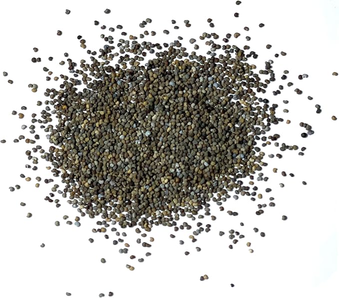 Seed Needs Mixed Peony Poppy Seeds for Planting - Heirloom & Open Pollinated - Colorful Mixture to Plant an Outdoor Butterfly Garden, Attracts Pollinators (1 Pack)