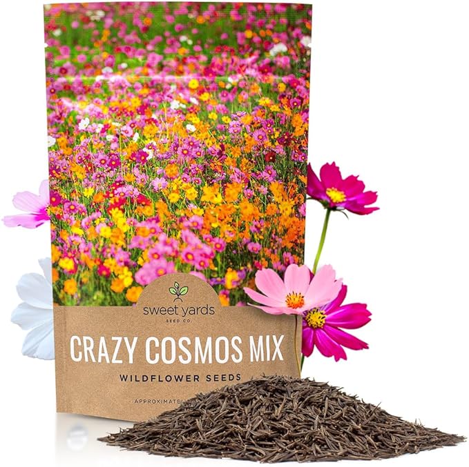 Cosmos Seeds Wildflower Mixture - Bulk Quarter Pound Bag - Over 20,000 Seeds - Pink, Yellow, Orange, Red, Purple and White Mixed Species!