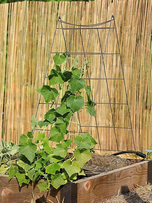 Gardeners Supply Company Wire A-Frame Trellis | Strong and Sturdy Metal Outdoor Garden Trellis Plant Support for Cucumbers, Squash, Vine Herbs & Other Climbing Plants