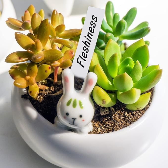 500 Pcs 4 Inch Plastic Plant Nursery Garden Labels Pot Marker Garden Stake Tags White,Box of 500