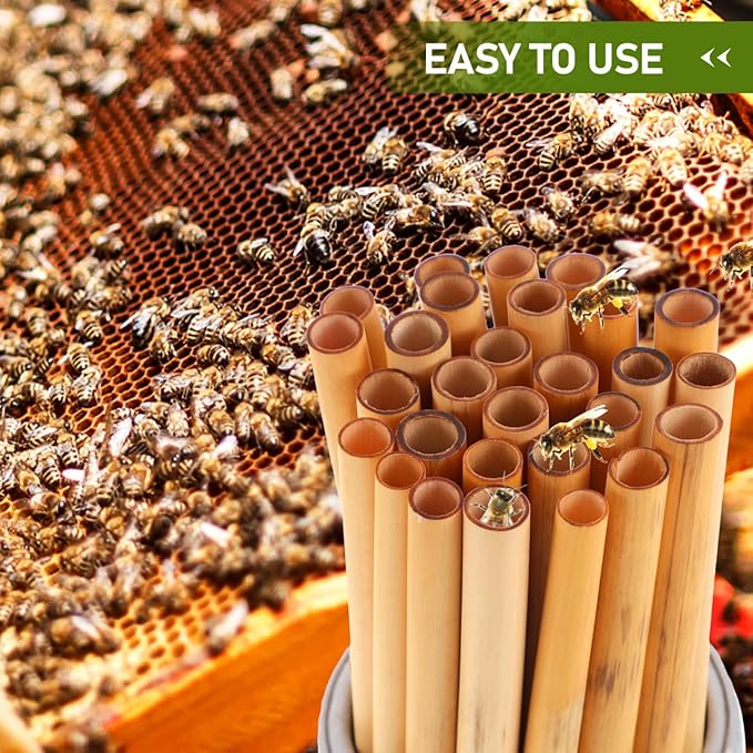 COHEALI Mason Bee Tubes 50-Pack, 7.87" Natural Reed Nesting Tubes Refills for Bee House, 7-9mm Diameter Solitary, Beehive Pollination Beekeeping Supplies for Garden