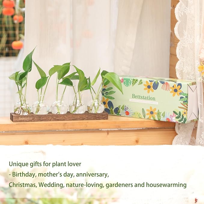 Plant Propagation Station, Plants Terrarium with Wooden Stand 5 Bulb Houseplants Glass Vase for Hydroponic Plants Gift for Plant Lovers Home Office Decor