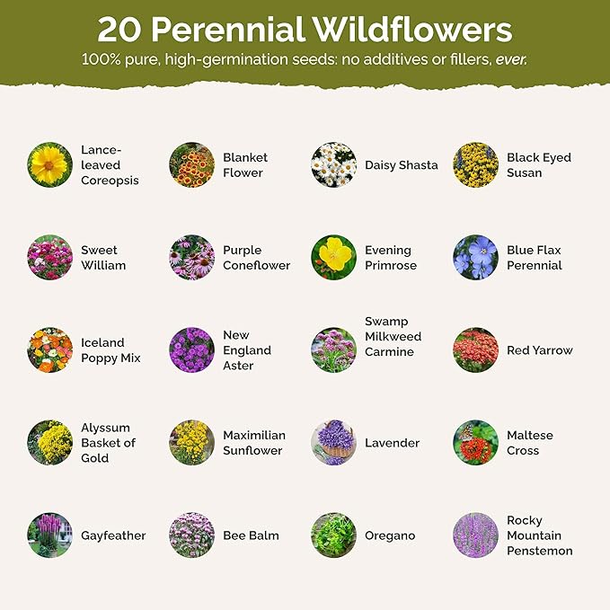 Eden Brothers Perennial Pollinator Wildflower Mixed Seeds for Planting, 5 lbs, 2,400,000+ Seeds with Blue Flax, Coneflower | Attracts Pollinators, Plant in Spring or Fall, Zones