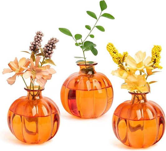 XXXFLOWER Plant Terrarium Propagation Stations Unique Gifts for Women Plant Lovers 3Pcs Pumpkin-Shaped Glass Vase for Tabletop Home Office Garden Decor (Plants NOT Included)