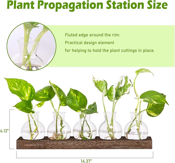 Plant Propagation Station, Plants Terrarium with Wooden Stand 5 Bulb Houseplants Glass Vase for Hydroponic Plants Gift for Plant Lovers Home Office Decor