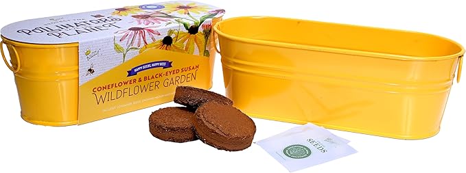 Buzzy Seeds Wildflower Garden Grow Kit, All-in-One Indoor Seed Starter Set with Non-GMO Mix of Coneflowers and Black Eyed Susans with a Decorative Planter - Great Gift for Gardeners, Gardening Project