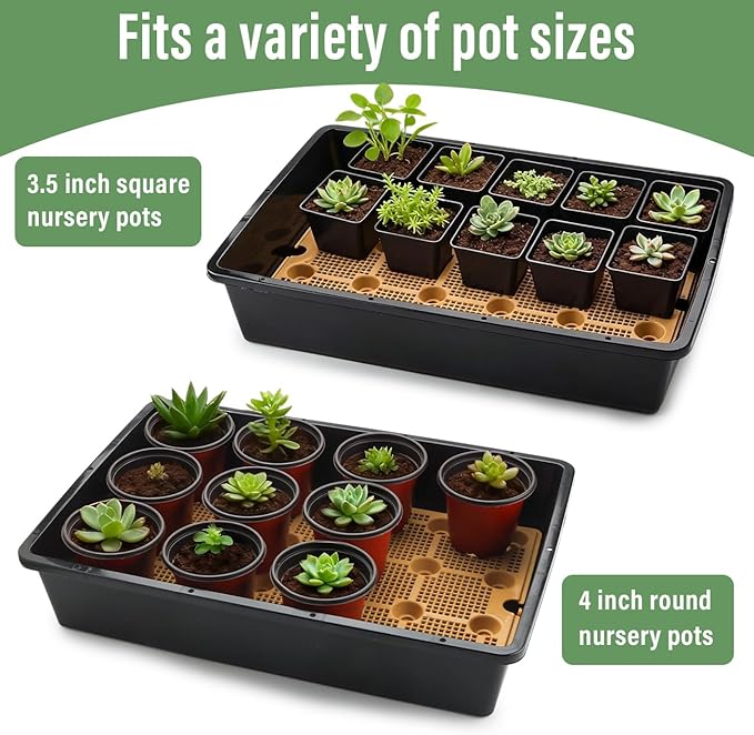 5 Pack Nursery Pots Trays with Removable Mesh Drainage Mat, Plastic Seed Starter Trays (17"x12"x3.5") with Drainage Hole, Propagation Kit for Seedlings, Microgreens, Plant Germination (Black)