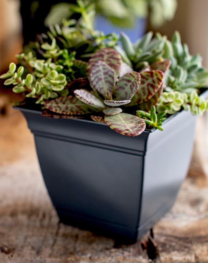 The HC Companies 6 Inch Eclipse Square Planter with Saucer - Indoor Outdoor Plant Pot for Flowers, Vegetables, and Herbs, Warm Gray (Pack of 2)