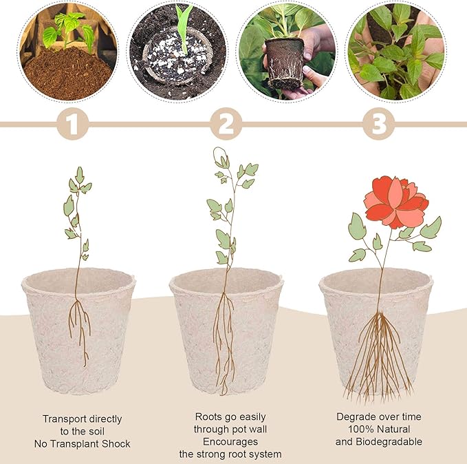 Biodegradable Peat Pots Set (10-Piece)