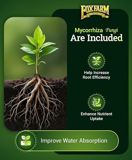 FoxFarm Happy Frog Tomato & Vegetable Fertilizer - Organic Vegetable Fertilizer for Vigorous Feeders, 5-7-3 Blend with Calcium & Mycorrhizal Fungi, Supports Abundant Fruit & Disease Resistance, 4 lb