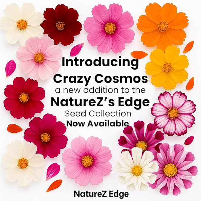 NatureZ Edge, Crazy Cosmos Seeds for 2026, 2250 Cosmos Seed, 15g, Made in USA, Annual Cut Flowers, Wildflower Seeds Bulk for Planting Flowers, Wild Flowers Seed Throw and Grow, semillas de Flores