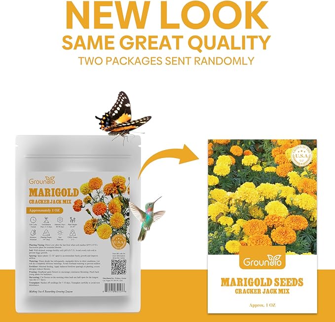 Marigold Seeds, 1 OZ Over 9500+ Seed, Cracker Jack in Mix Color for Planting Indoor & Outdoor, Attract Pollinators, Non-GMO | Heirloom | USDA Zone 2-11