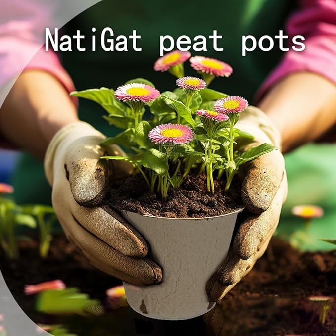 108pcs Peat Pots for Seedling 3.15" Biodegradable Plant Nursery Pots Seed Starting Pots with Drainage Holes, 30 Plant Labels, 2 Transplant Tools
