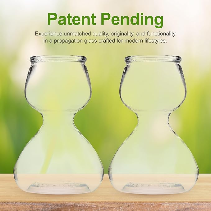 Garden Guru Plant Propagation Stations - Clear Glass Bud Vases Set of 4 - Mini Vases for Wedding Centerpieces, Cafe Décor, Tea Shop Displays - Small Hydroponic & Flower Vase