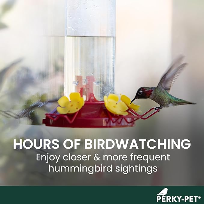 Perky-Pet Plastic Window Mount Hummingbird Feeder with Perches - 8 oz Hummingbird Nectar Capacity,217 -Hummingbird feeders for Outdoors,(Pack of 6)