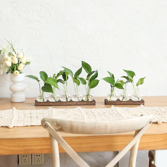 Plant Propagation Station, Plants Terrarium with Wooden Stand 5 Bulb Houseplants Glass Vase for Hydroponic Plants Gift for Plant Lovers Home Office Decor