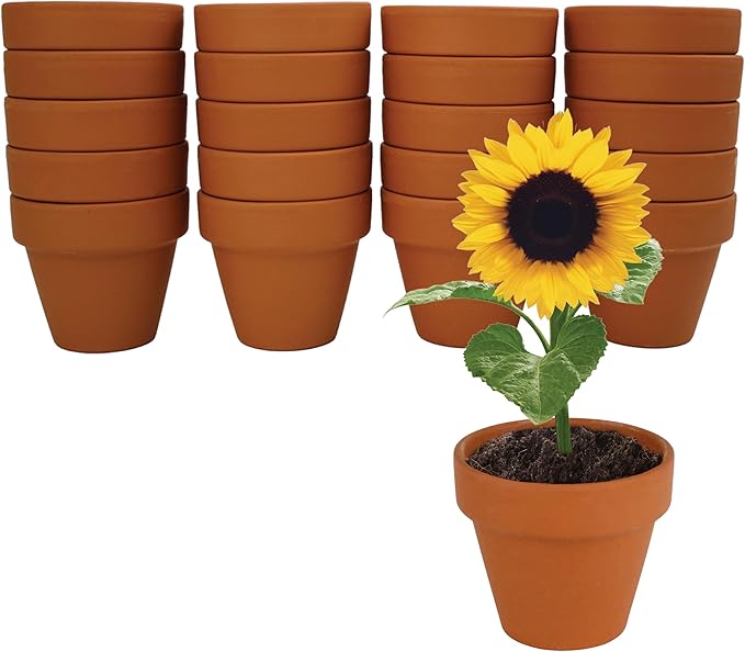 BUZZY Seeds Sunflower Seed Starter Kit Bulk 20 Pack – Mini Terracotta Grow Pots, Flower Gardening Kits for Wedding Favors & DIY Crafts