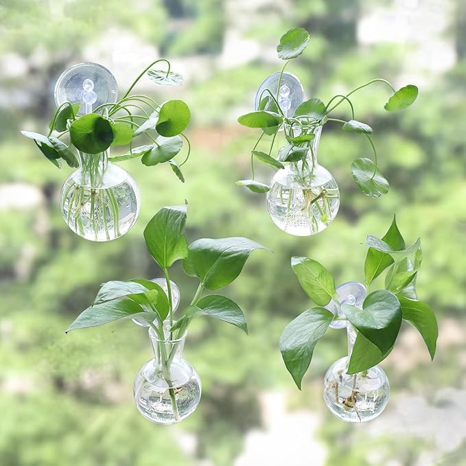 4 pcs Window Propagation Stations, Easy to Install Plant Propagation Bulbs with Suckion Cups, No Nails Wall Hanging Planter Propagation Station, Glass Plant Terrarium Vase