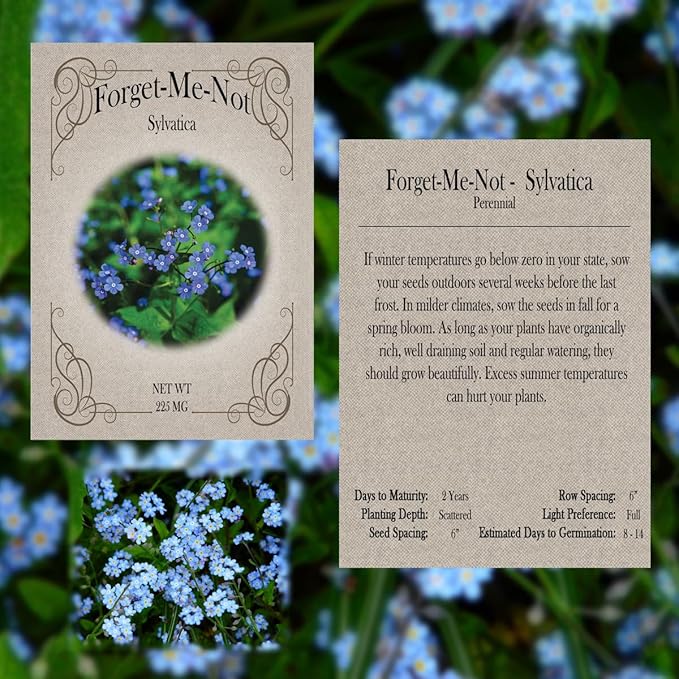 Cottagecore Flower Garden Seed Kit – 9 Whimsical & Vintage Blooms for a Charming Garden – Non-GMO & Heirloom Seeds – Includes Shasta Daisy, Snapdragons, Aster, Forget Me Not, Zinnia & More