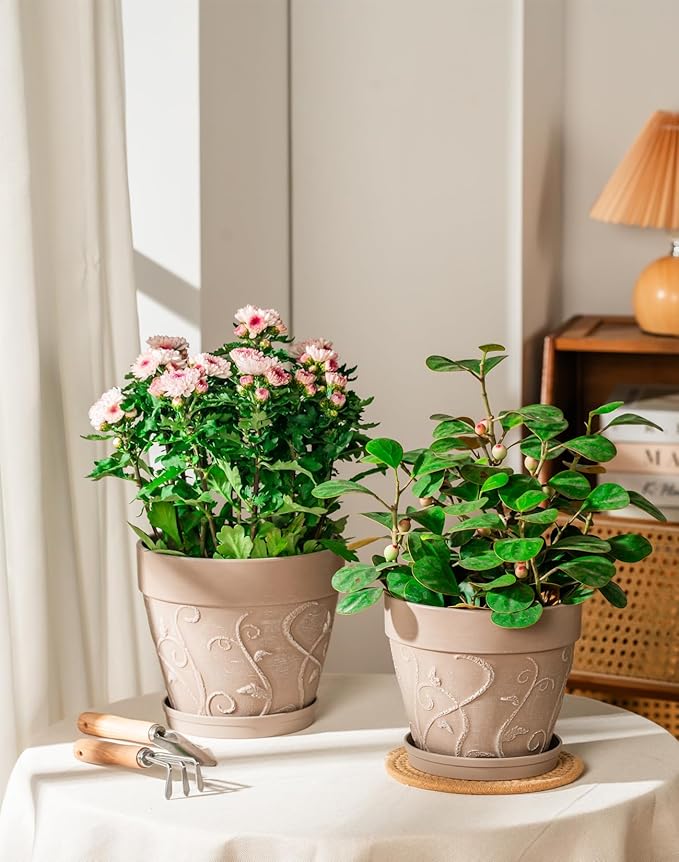 Melphoe Plant Pots Indoor with Drainage & Saucer, 2Pack 7/8 inch Flower Pots Outdoor Planters for Indoor Plants Garden Home Decor Cactus Succulent, Rigid Plastic (Imitation-Terracotta) Vine-Embossed