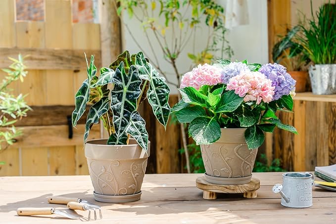 Melphoe Plant Pots Indoor with Drainage & Saucer, 2Pack 7 inch Flower Pots Outdoor Planters for Indoor Plants Garden Home Decor Cactus Succulent, Rigid Plastic (Imitation-Terracotta) Vine-Embossed
