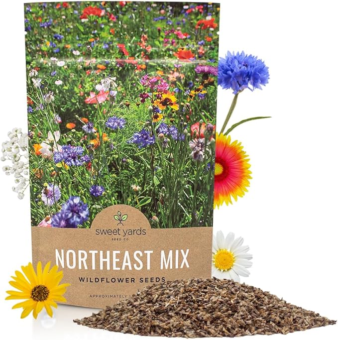 Sweet Yards - Northeast Wildflower Seed Regional Mixes - Bulk 1/4 Pound Bag - Over 30,000 Native Seeds - Open Pollinated and Non GMO Varieties for New York, Virginia, Pennsylvania, Maine and More!