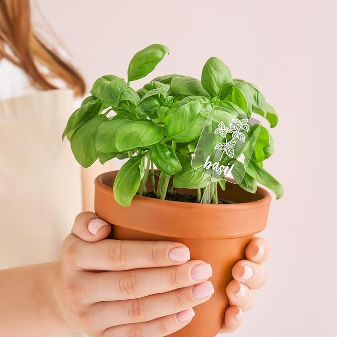 Whaline 24Pcs Acrylic Plant Label Signs 12 Styles Planted Herb Garden Markers Transparent Waterproof Plant Stake Tags with Herb Names for Nursery Indoor Outdoor Garden Decoration