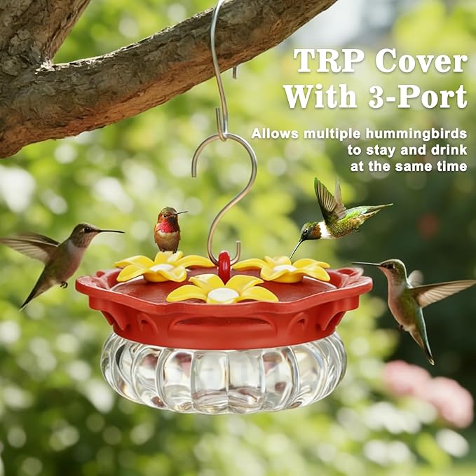 Set of 2 Glass Hummingbird Feeders for Outdoors Hanging with 3 Bee Guard Feeding Ports, 3.4OZ Handheld Humming Birds Feeders for Outside, Gifts for Women Mom, Transparent
