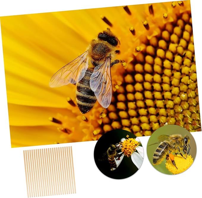 VANZACK 300pcs Bee Craft Supplies Straw Bee House Tubes Easy Install Outdoor Beekeeping Nesting Tubes