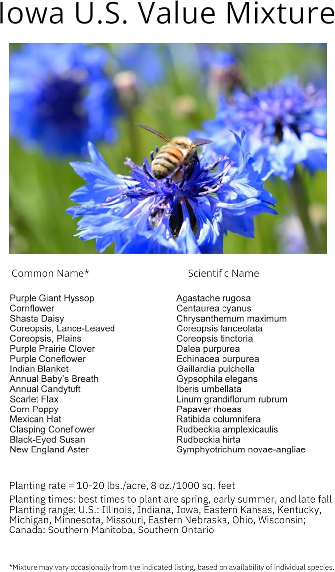 Iowa Bulk Perennial Wildflower Seed Mix 1lb Covers 2,000sq-ft - Attract Pollinators, Multi-Color Blooms - Midwest US Species Plant in Spring/Fall - Earth-Friendly Packaging (1/2 Pound)