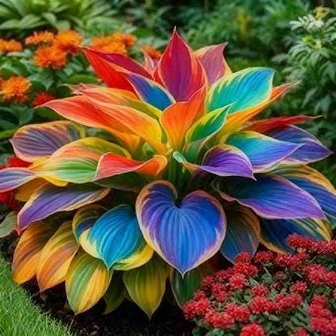 290+ Perennial Hostas for Planting, Low Maintenance Rich Foliage, Heart Shaped Leaves, Outdoor Garden Attract Pollinators Bonsai Decoration Non-GMO Heirloom Hosta Plants Seeds