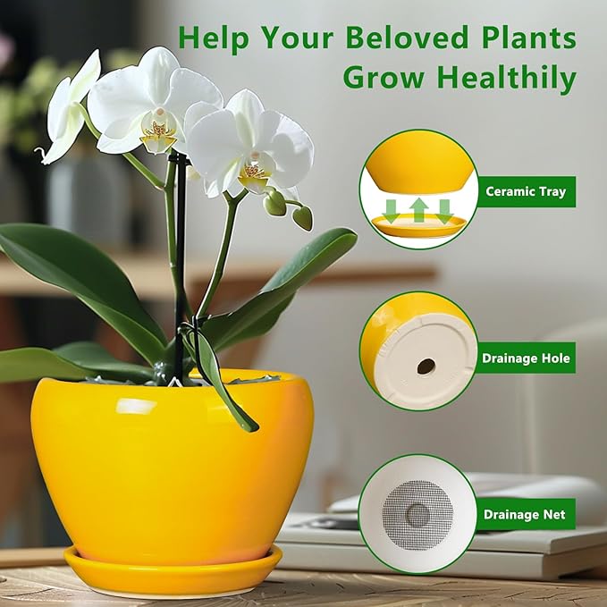 Ceramic Pot for Plants - 6 Inch Plant Pot Glaze Modern Decorative Round Planter with Drainage Hole and Saucer for Home Patio Room Office House Decor, Yellow